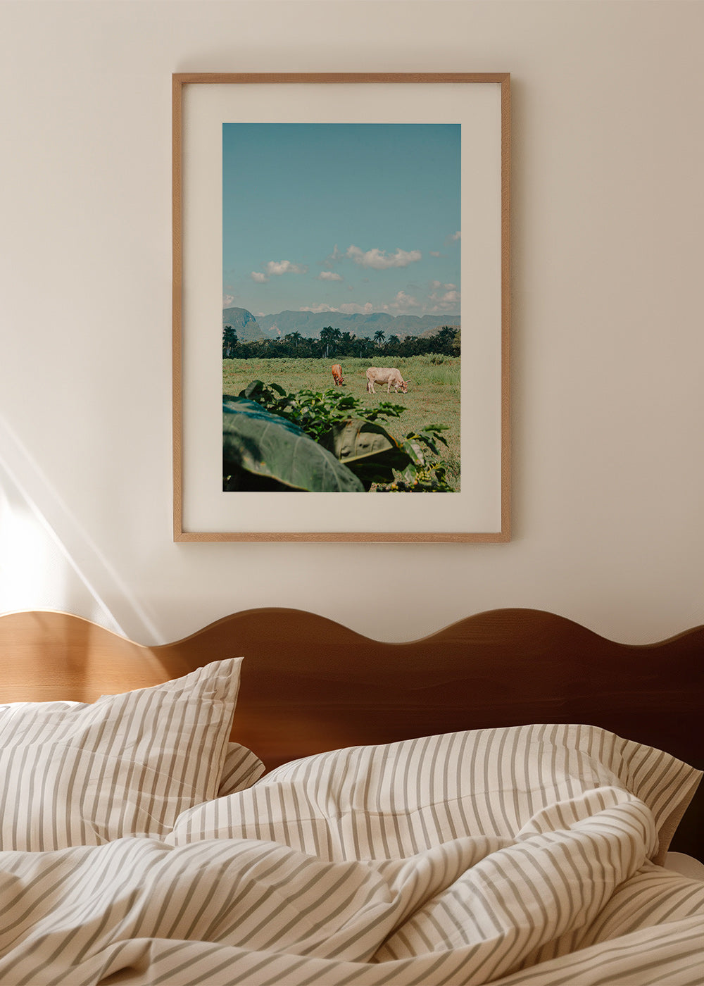 Art de paysage : champs avec vaches y ciel vaste