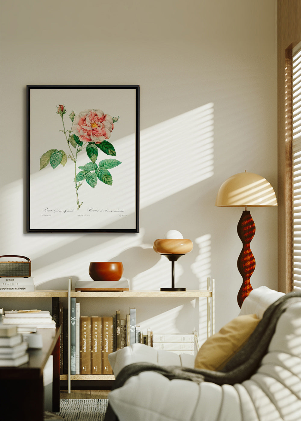 Lámina botánica Rosa Gallica en lámina científica – Canvas2