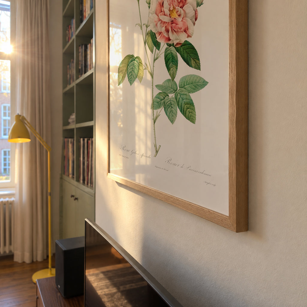 Rosa Gallica - Framed poster detail