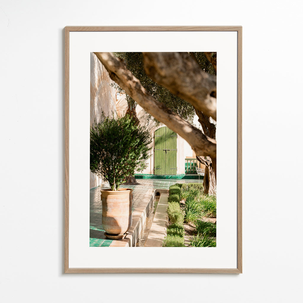 Lámina botánica de patio mediterráneo – Oak Frame