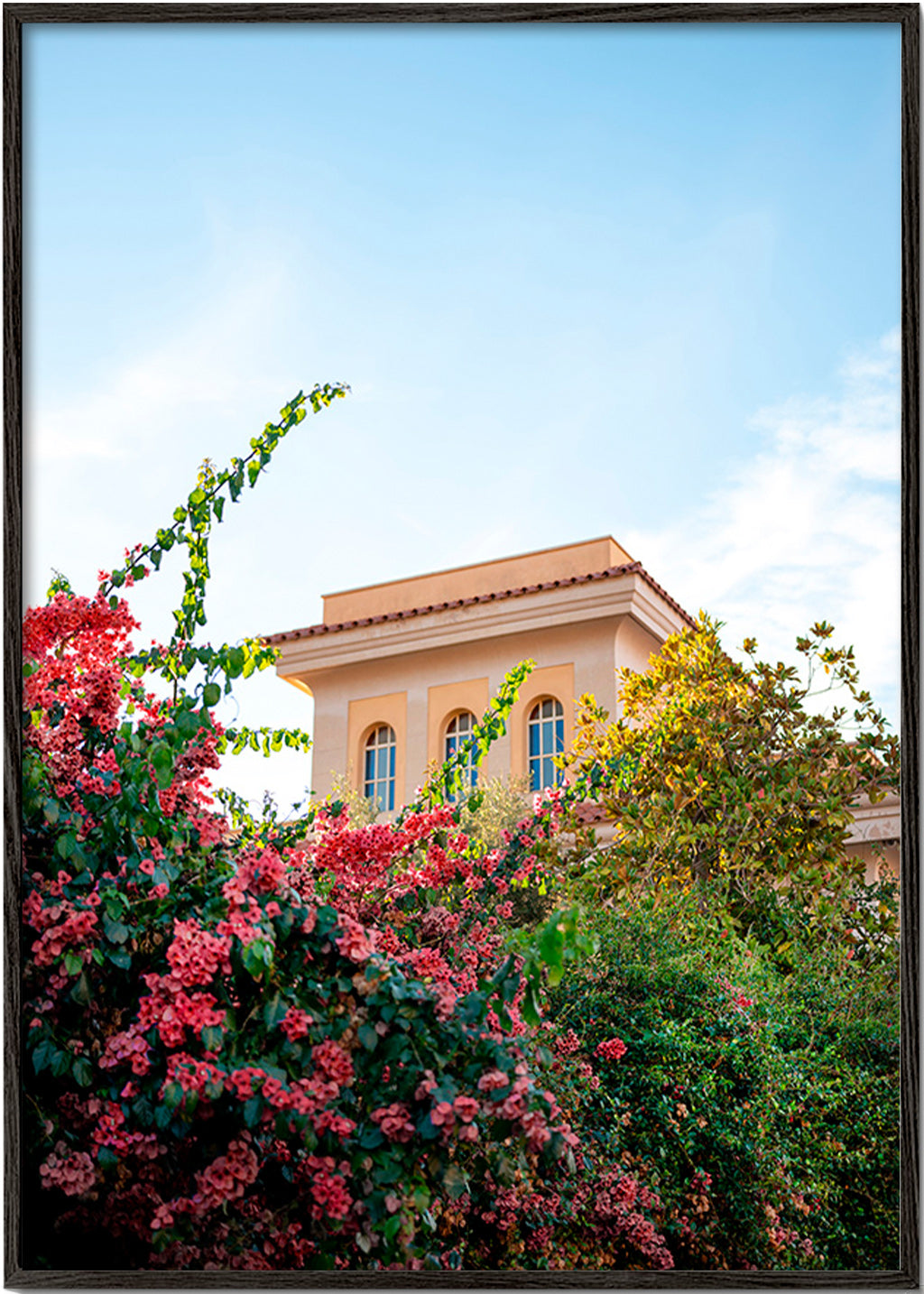 Lámina botánica con fachada y buganvillas – Black Frame