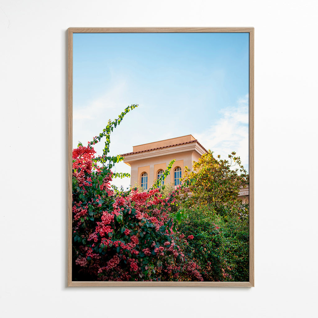 Lámina botánica con fachada y buganvillas – Oak Frame