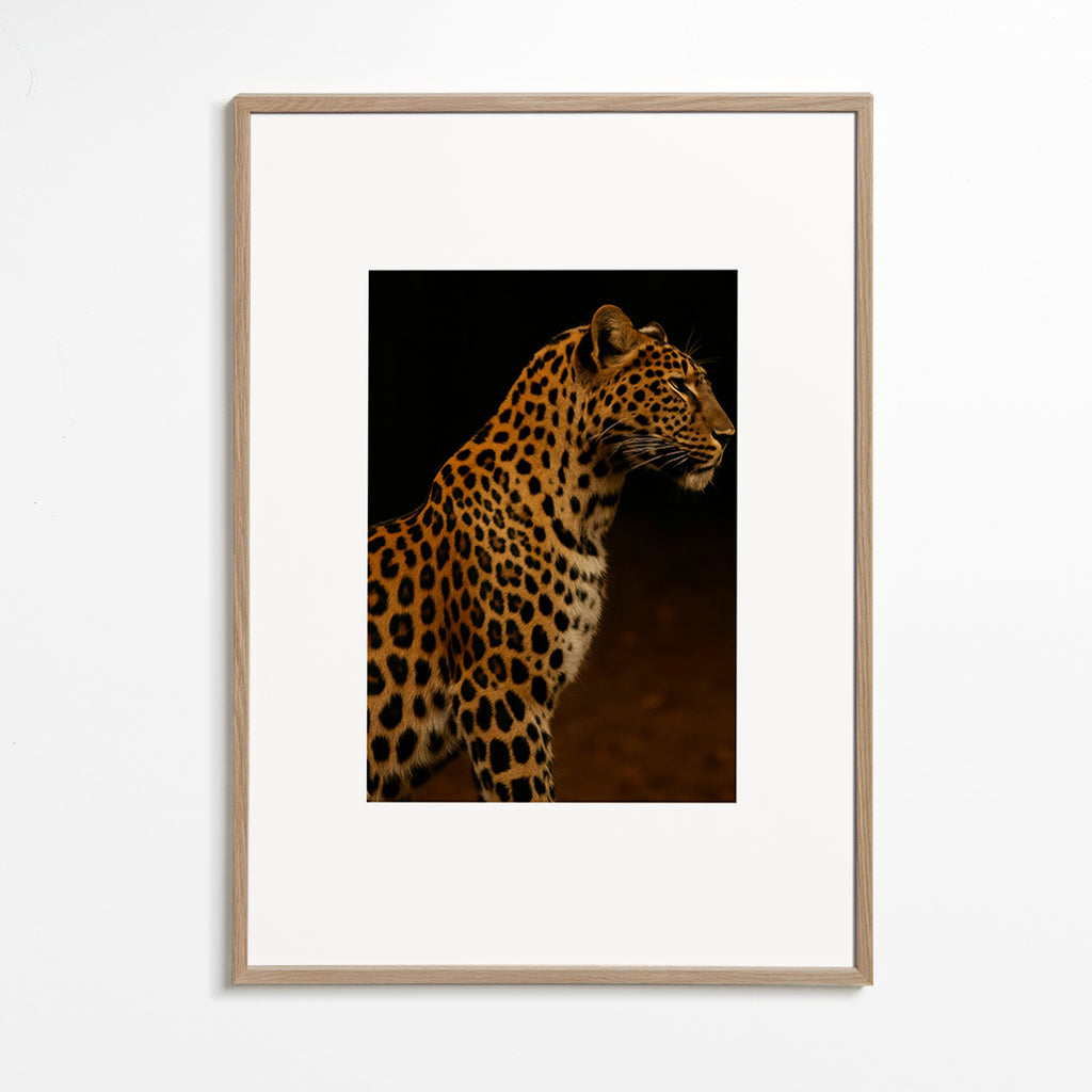 Cuadro leopardo perfil en estudio – Oak Frame