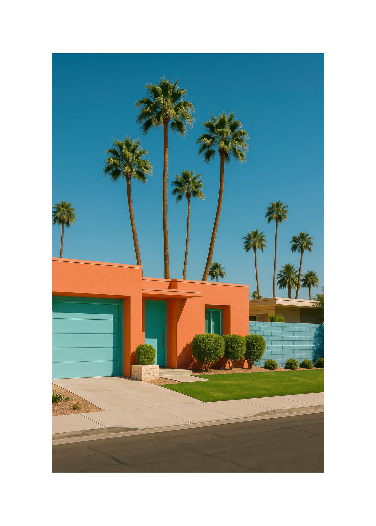 Palm House - Unframed art print