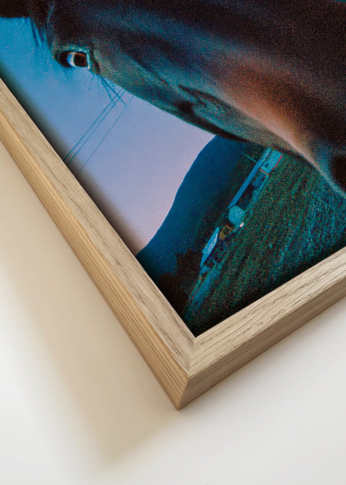 Œuvre cheval gros plan nocturne