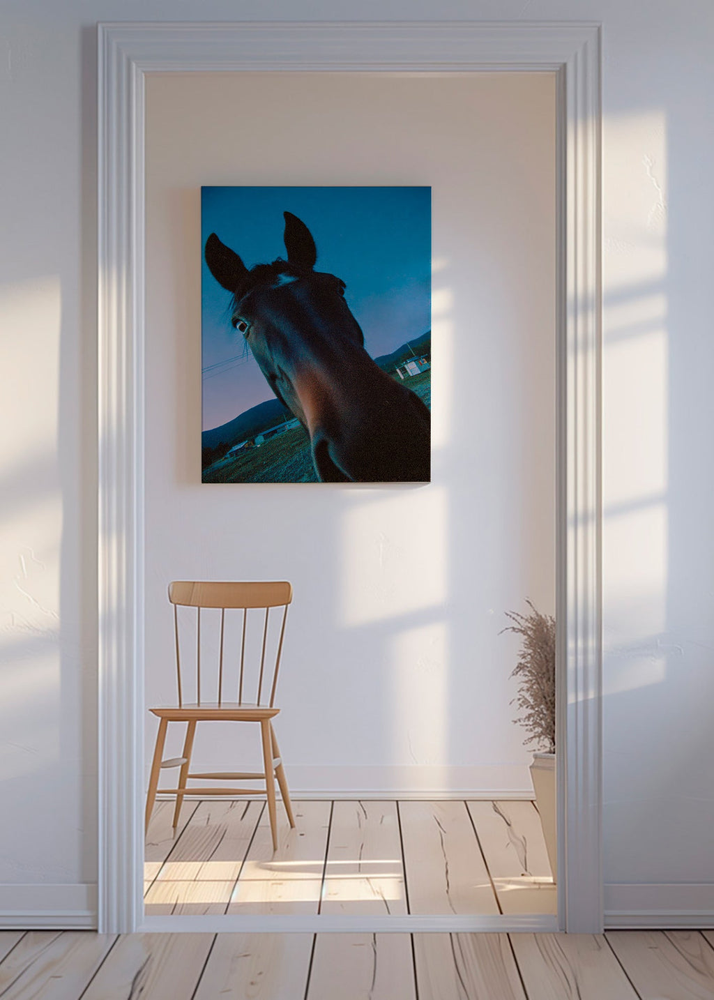 Œuvre cheval gros plan nocturne