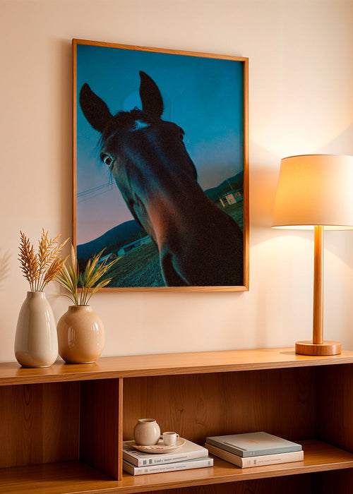Œuvre cheval gros plan nocturne