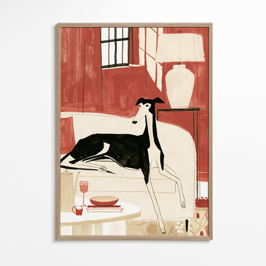 Galgo illustré sur canapé