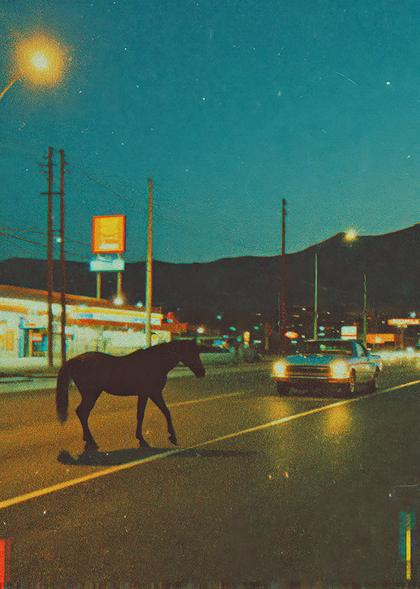 Cheval nocturne sur la route