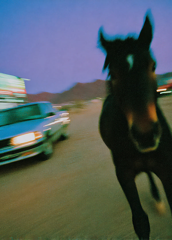 Œuvre cheval en mouvement au crépuscule