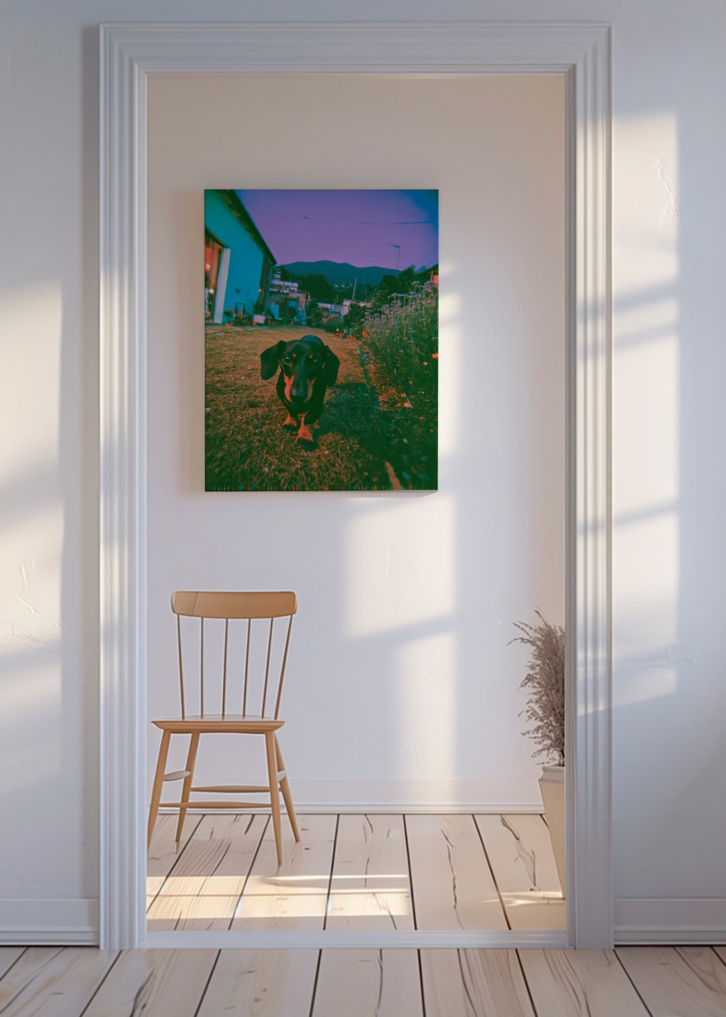 Photographie de chien au crépuscule
