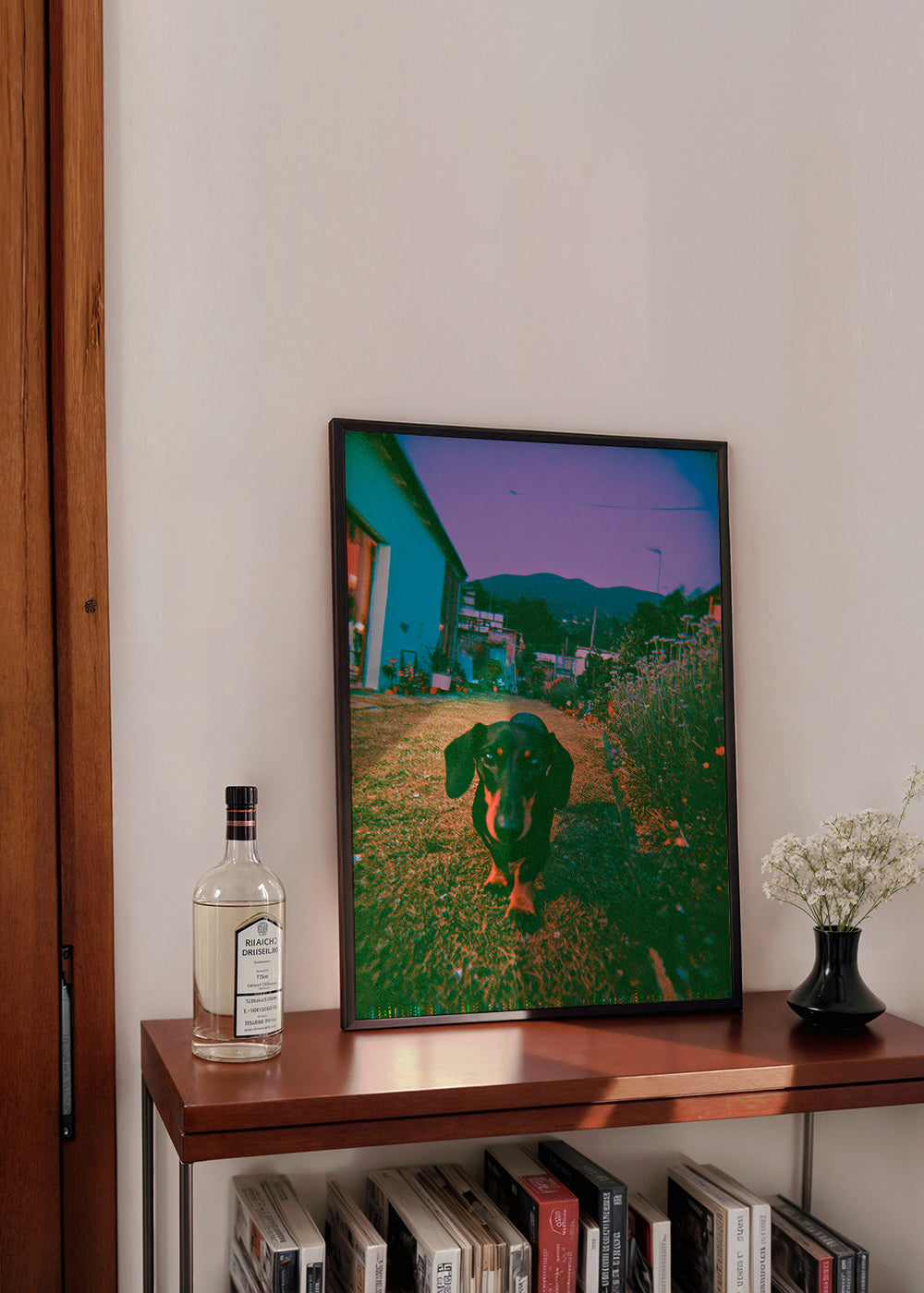 Photographie de chien au crépuscule