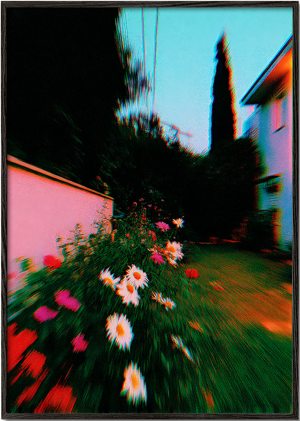 Impression botanique: jardin flou avec marguerites