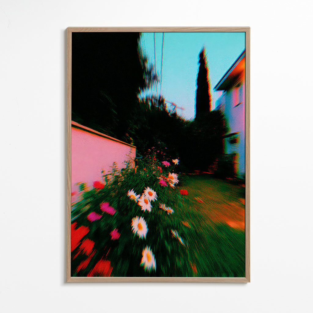 Impression botanique: jardin flou avec marguerites