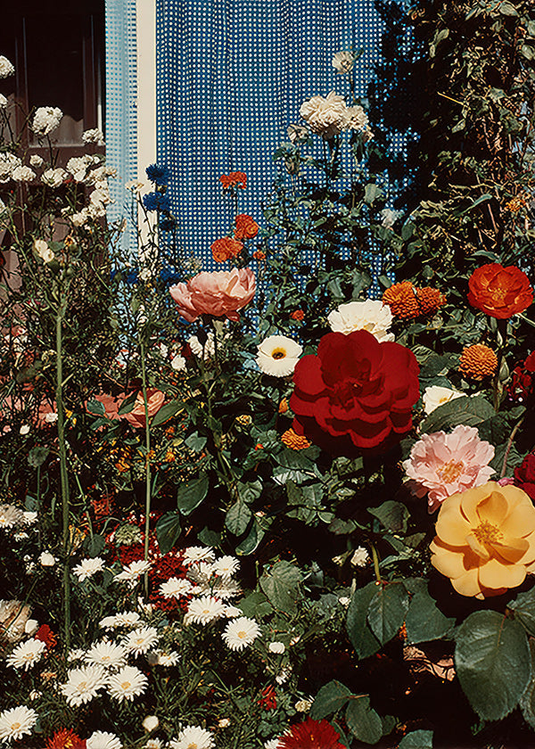 Impression botanique: jardin fleuri