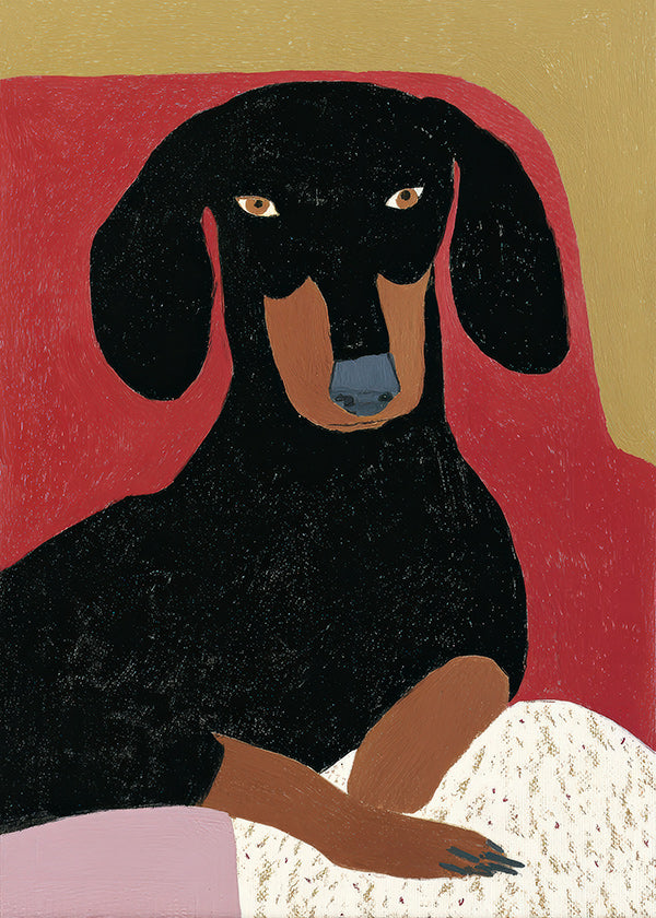 Illustration teckel en portrait