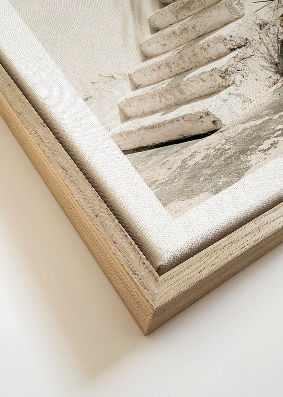 Photograph de marches blanches avec plante