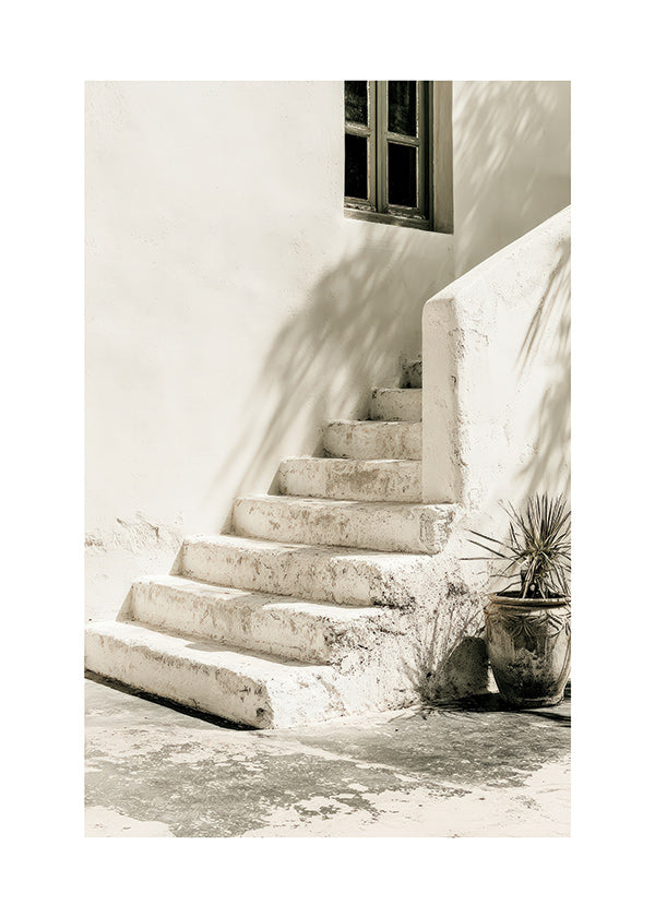 Photograph de marches blanches avec plante