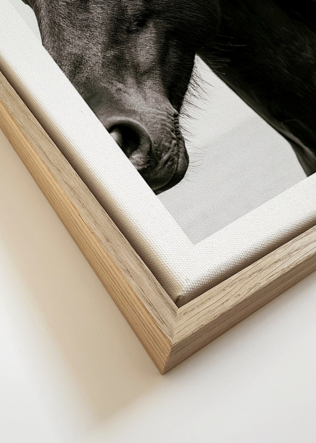 Portrait de cheval noir