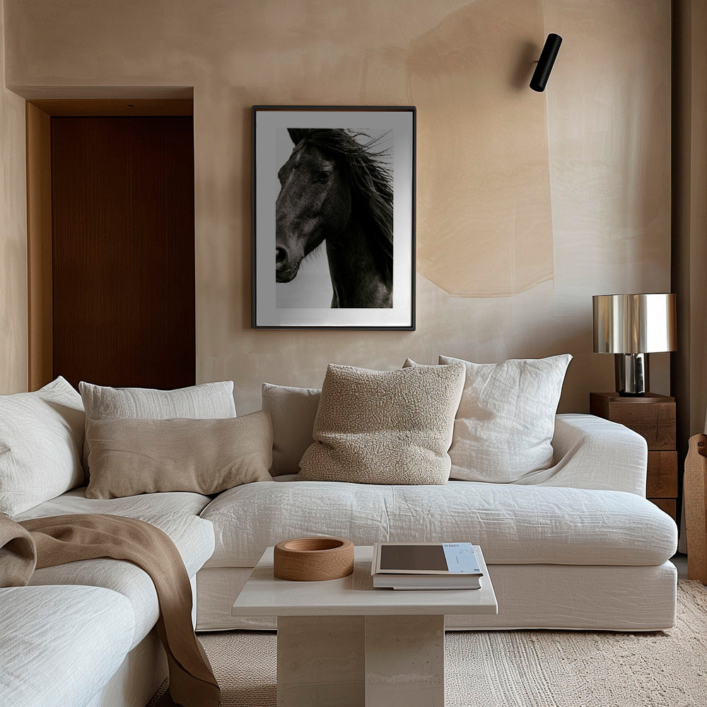 Portrait de cheval noir