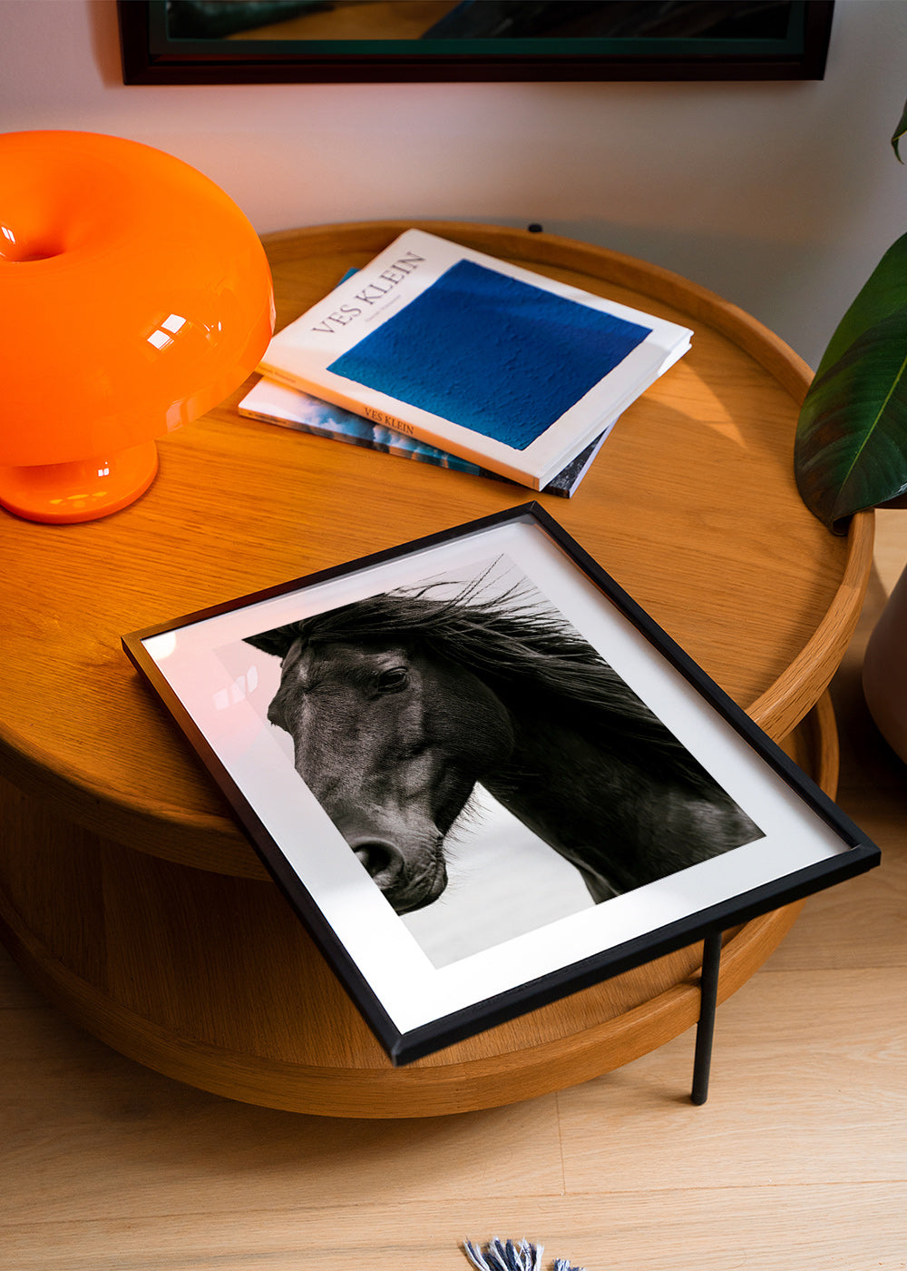 Portrait de cheval noir