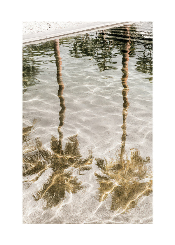 Art de paysage avec reflets de palmiers
