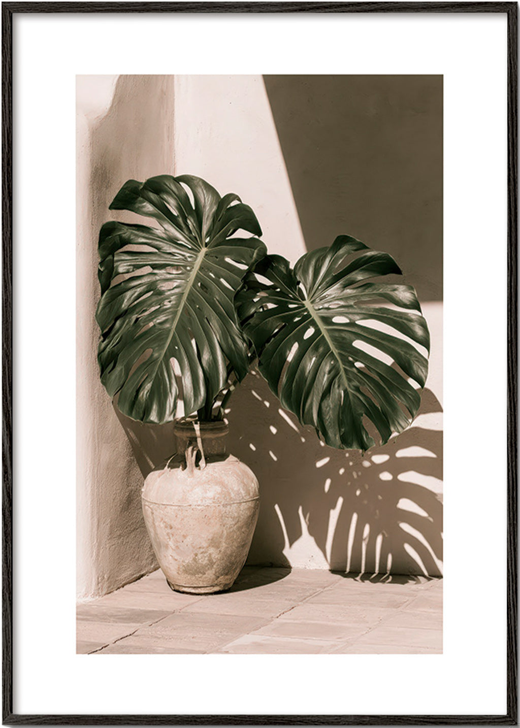 Impression botanique Monstera en pot