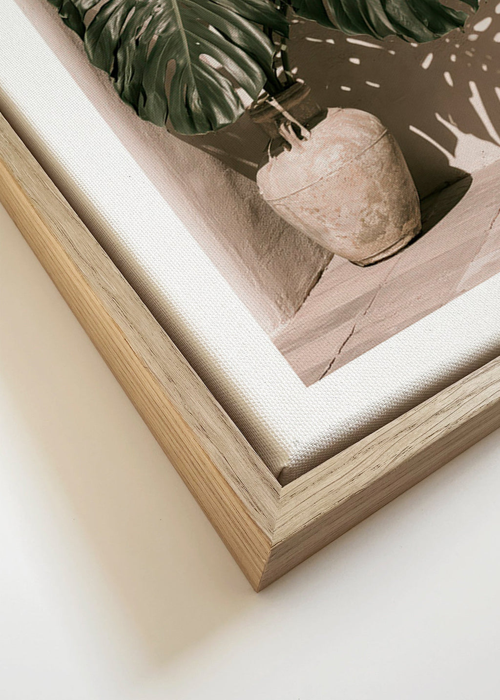 Impression botanique Monstera en pot