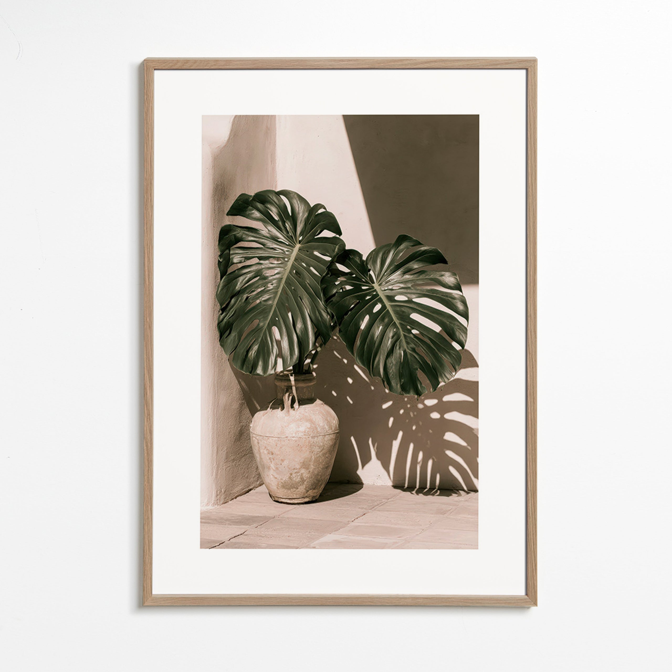 Impression botanique Monstera en pot