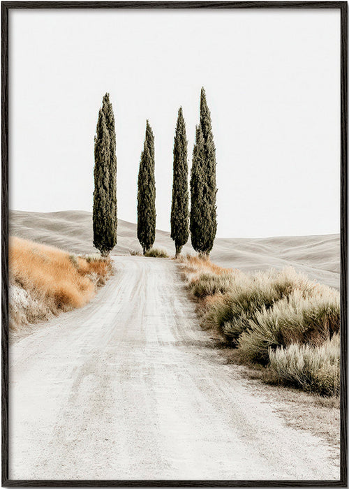 Art de paysage: allée de cyprès en route