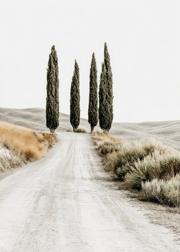 Art de paysage: allée de cyprès en route