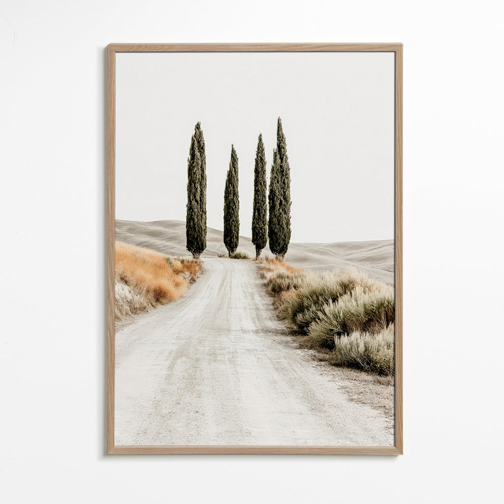 Art de paysage: allée de cyprès en route