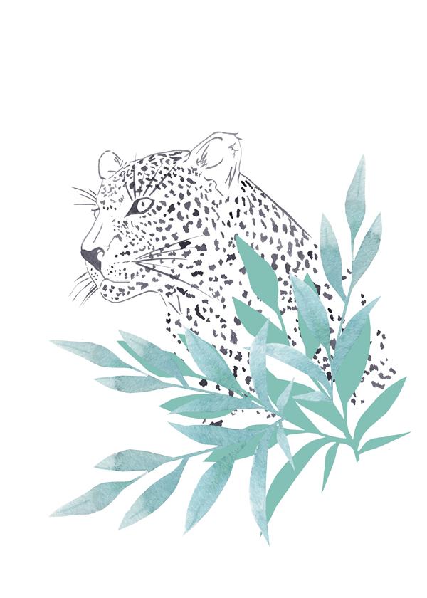 Leopard